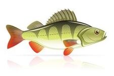 sjávarfang við brisbólgu